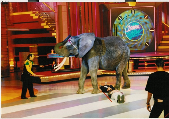 Circus Olifant Sonny bezig met een act