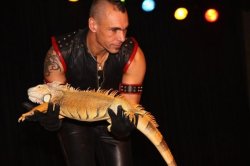 Reptielenshow