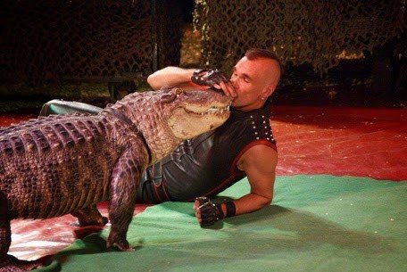 Reptielenshow krokodil